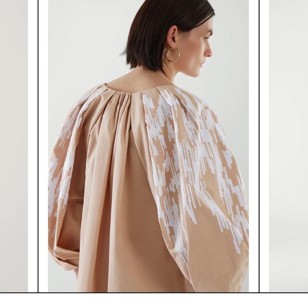 COS Embroidered Puff Sleeve Dress - Picture 13 of 13